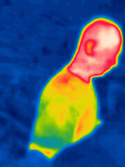 Male bust .Image from thermal imager device..Image from thermal imager device.