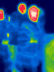 Ladies rich bitch in fur coats, blue fox skin. Image from thermal imager device.