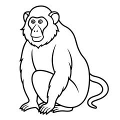 illustration baboon sit-icon