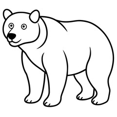illustration of a bear