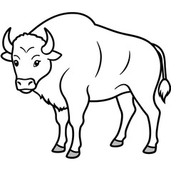 bison illustration 