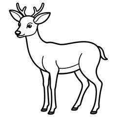 Fototapeta premium deer silhouette vector