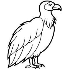 vulture vector illustration