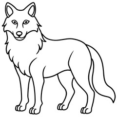 Wolf  vector, illustration