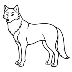 Wolf  vector, illustration
