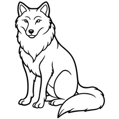 Wolf  vector, illustration