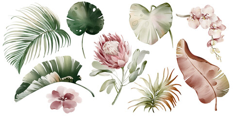 Tropical elements of leaves and flowers. Watercolor Australian plants.Set of exotic green palm vegetation. Palm branch and protea on a white background. Orchid and banana leaf. - obrazy, fototapety, plakaty