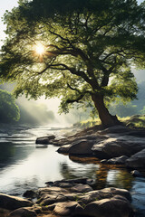 Obraz na płótnie Canvas Dawn landscape with tree over river stream