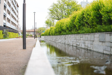 bridge over the river