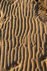 Curves and marks and shapes left by the passage of sea water and the tide on the beach sand.
