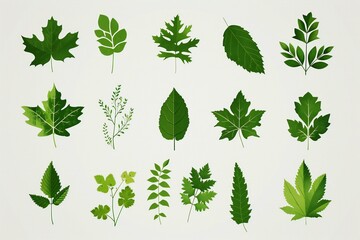 Leafs and plants set,  Vector illustration of green leaves - obrazy, fototapety, plakaty
