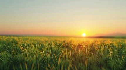Fototapeta premium A Sunrise over Green Field