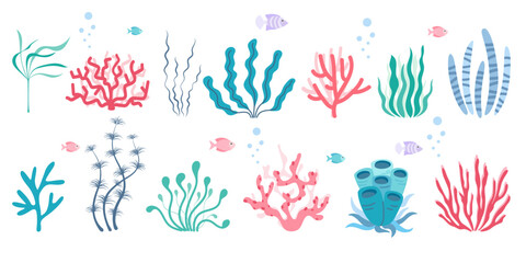 Summer mood. Ocean plants set in simple style. Seaweed collection in flat design on a white background. 