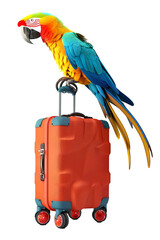 Colorful Scarlet Macaw Parrot Perched on a Red Suitcase, Isolated on transparent Background