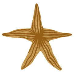 Gold Starfish Isolated on White.