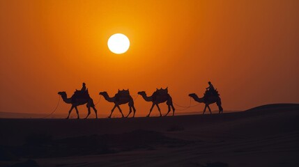 Against the backdrop of the setting sun, camels and their cameleers traverse the desert landscape, their journey a testament to human and animal symbiosis.