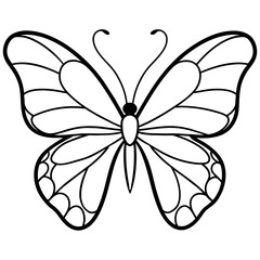 Cabbage white butterfly on lavenders