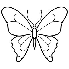 butterfly on white background