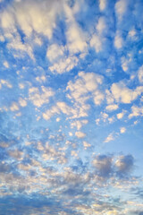 Bright colorful clouds in sky before sunset. Many small beautiful clouds in summer sky in the evening - obrazy, fototapety, plakaty