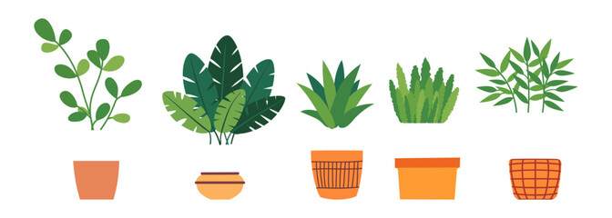Indoor green plants. Greenery for interior decoration, plant lovers. Flowers in a pot in flat style. Vector illustration.