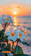 There are several blooming frangipani flowers on the white beach. The background is the sea and the sunset. 