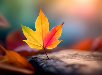 Colorful autumn leaves on the ground. Color blurred background