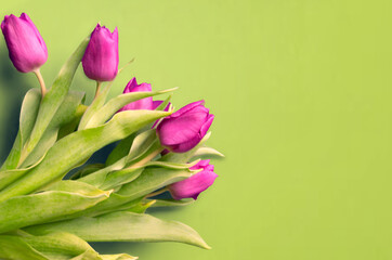 Bouquet of beautiful tulips on wooden background. Tulips on old boards