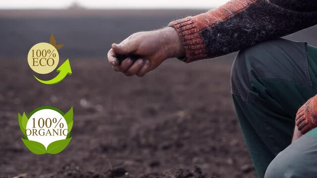 Farmer owner control soil quality before seed plant. Future agriculture concept. Close-up hands with the ground. Smart farming, using modern technologies in agriculture. Organic quality mark.