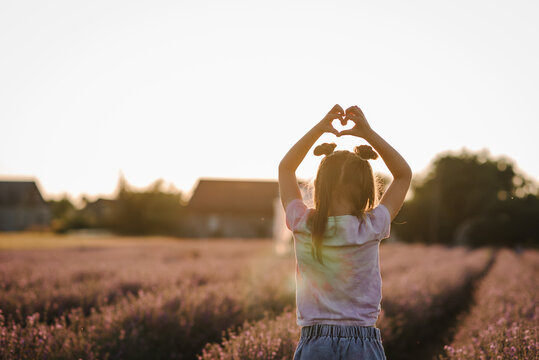 Girl stands back in lavender field at sunset. Kid walking among lavender flowers with sunlight on summer day. Children hands making sign Heart. Child folded his fingers in shape of heart. Back view