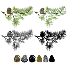 Pine branch with snow and pine cones and  as vintage engraving and silhouette set seven vector illustration editable hand drawn