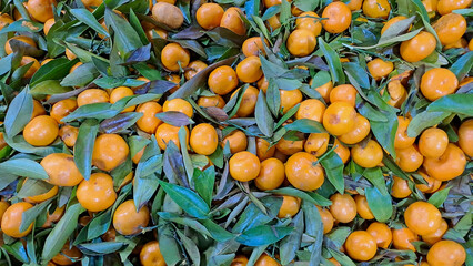 Fresh mandarin oranges fruit or tangerines with leaves, top view. Banner, design, as background 
