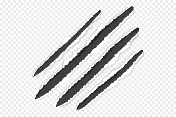 Scratch mark claw trace wild animal nails scratches textured torn paper edge on transparent background. Fancy cat, tiger, lion paw trace