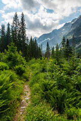 Narrow hiking trail to Hlinska dolina valley in High Tatras mountains in Slovakia
