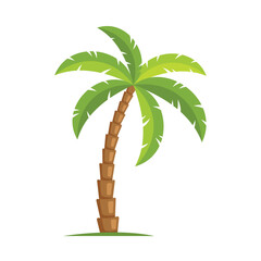 Palm Tree on White Background. Vector
