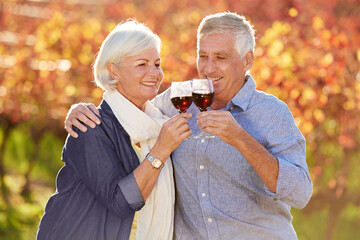 Hug, senior or happy couple toast in park for celebration on holiday vacation for bonding in...