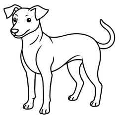      Dog vector illustration.
