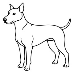      Dog vector illustration.

