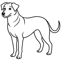      Dog vector illustration.
