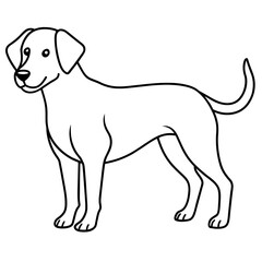     Dog vector illustration.
