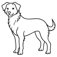      Dog vector illustration.
