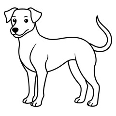      Dog vector illustration.
