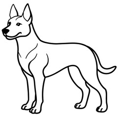      Dog vector illustration.
