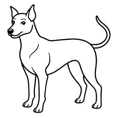     Dog vector illustration.
