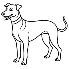      Dog vector illustration.

