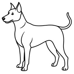      Dog vector illustration.
