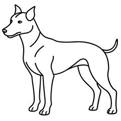      Dog vector illustration.
