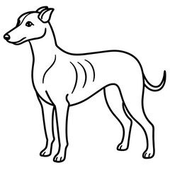     Dog vector illustration.
