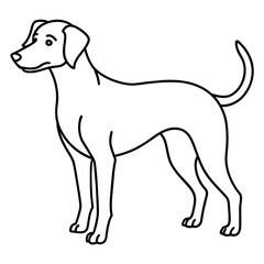     Dog vector illustration.
