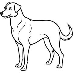      Dog vector illustration.
