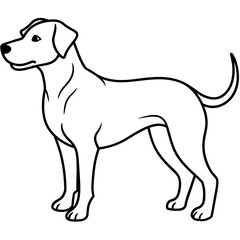      Dog vector illustration.

